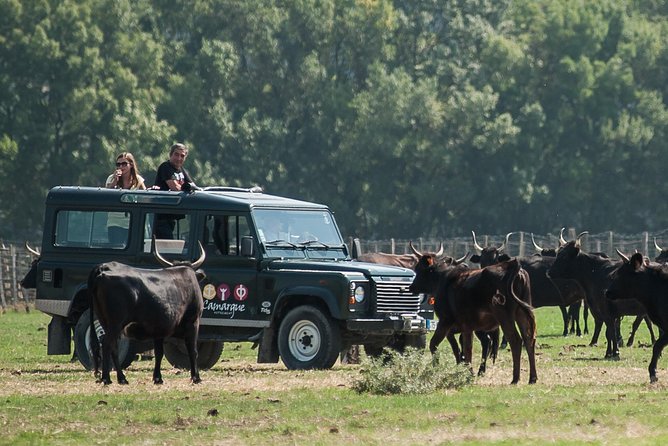 3.5 Hour Camargue 4x4 Safari from Le Grau-du Roi - The Included Wine Tasting and Snack or Breakfast Value