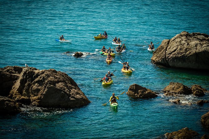 3 Hour of Sea Kayak Trip in the Creeks of Sete - The safety and fitness reality: what knowing how to swim really means