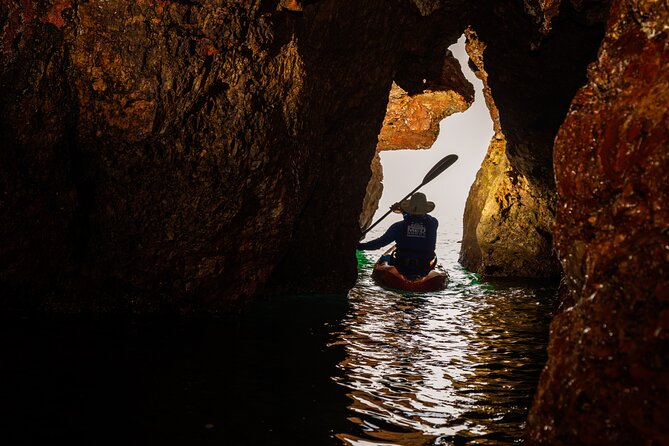 3 Hour of Sea Kayak Trip in the Creeks of Sete - Picking the right time: morning or afternoon departures
