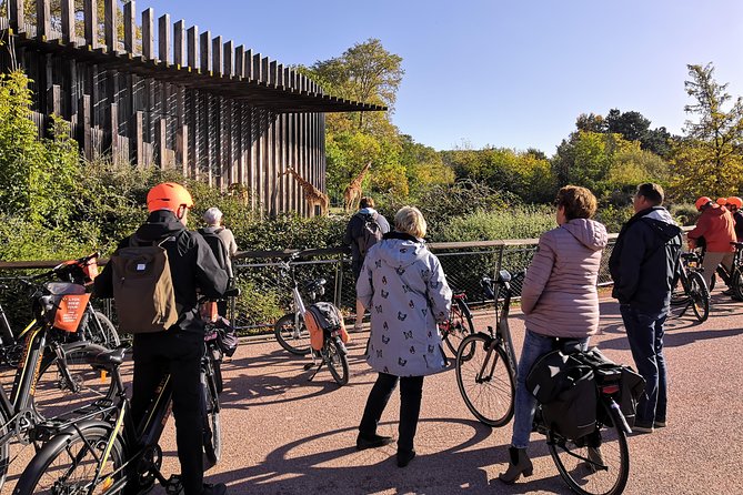 4h Complete Lyon Experience: E-Bike, Food Tasting & Old Town Walk - Fourvière hilltop views: the reason many people choose the full 4 hours