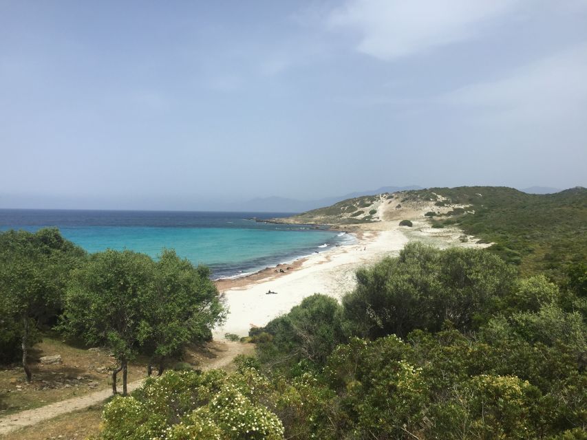 4x4 Agriates Desert and Beach Excursion from Calvi - Key highlights worth getting excited about