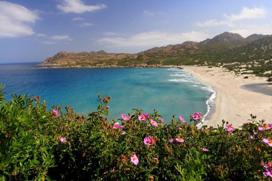 4x4 Agriates Desert and Beach Excursion from Calvi - Should you book the 4x4 Agriates Desert and Beach excursion from Calvi?