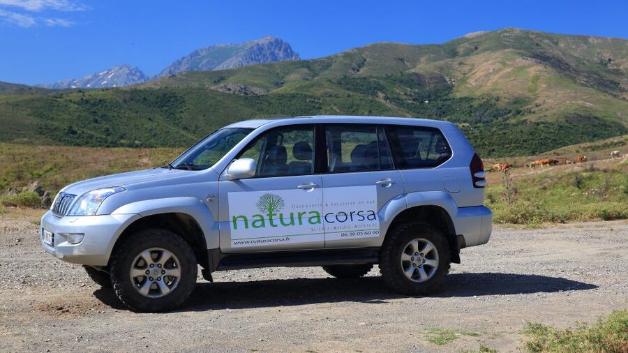 4x4 Agriates Desert and Beach Excursion from Calvi - Getting your money’s worth: small group limits and real guide time