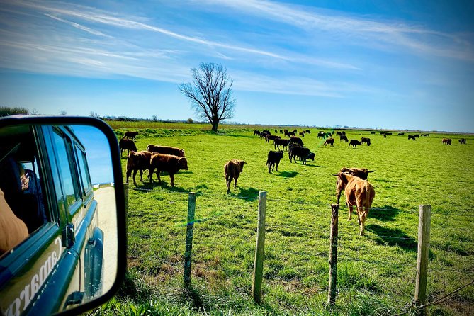 4x4 Camargue Safari 4h - Departure from Arles - Meet the guides you might ride with, and what their style tends to bring