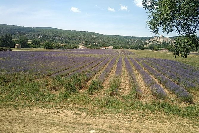 5-Hour Private Sightseeing Tour of the Provence from Marseille in Luxury Car - Aix-en-Provence: Pedestrian-Friendly Charm and a Market Stop