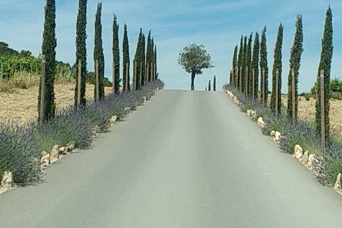 5-Hour Private Sightseeing Tour of the Provence from Marseille in Luxury Car - Should You Book This Marseille-to-Provence Private Tour?