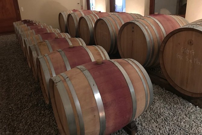 Afternoon Wine Tour to Chateauneuf du Pape from Avignon - The scenic ride south: what you’ll notice along the way