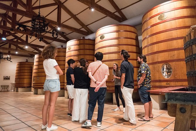 Afternoon Wine Tour to Chateauneuf du Pape from Avignon - Stop 2: the château viewpoint for panoramic vineyard photos