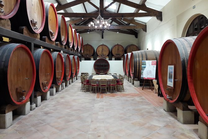 Afternoon Wine Tour to Chateauneuf du Pape from Avignon - Price and value: what you get for about $127