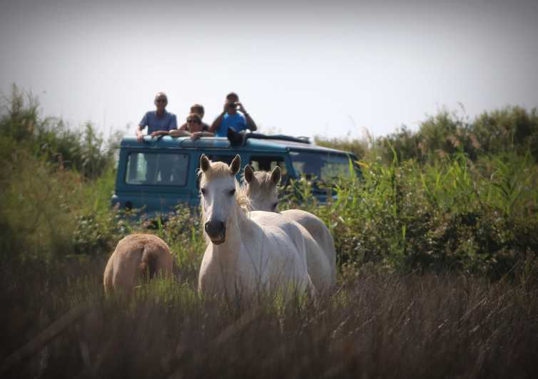 Aigues Mortes: Jeep Photo Safari in Camargue - Key things I’d center before you book