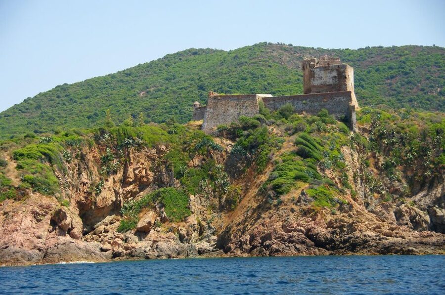 Ajaccio: Guided Scandola Nature Reserve Boat Tour - Final swims at Anse de Cala di Pala and the natural diving boards