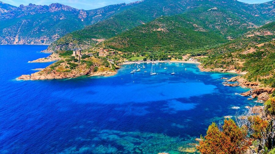 Ajaccio: Guided Scandola Nature Reserve Boat Tour - Price and value: what you’re paying for at $117 per person