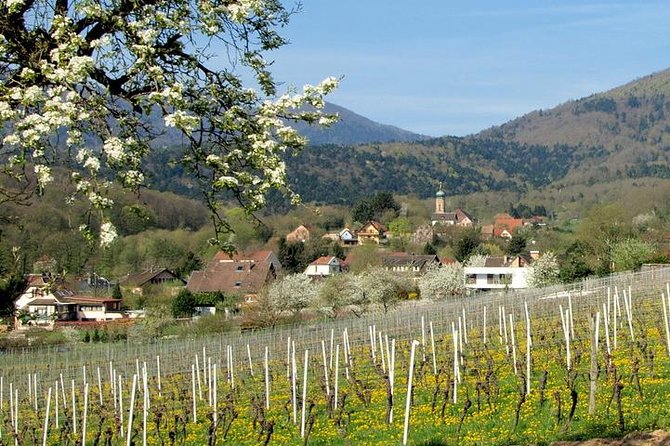 Alsace 4 Wonders Small-Group Day Trip from Colmar - Why this 4 Wonders day trip starts with a smart Colmar plan