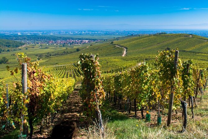 Alsace Full Day Wine Tour from Colmar - From Colmar to the Wine Route, the Easy Way