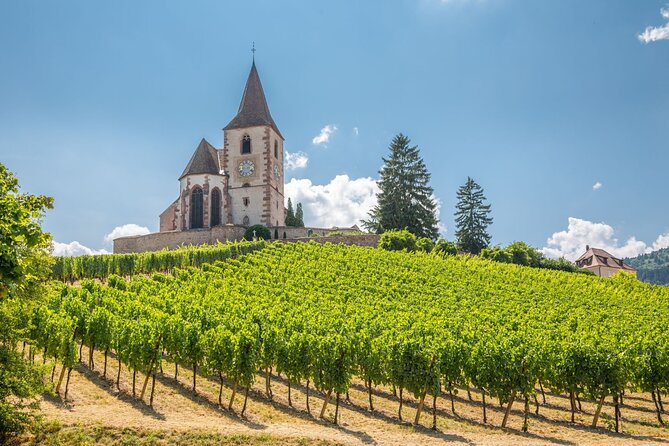Alsace Full Day Wine Tour from Colmar - Three Tastings Explained, What to Look for at Each Winery