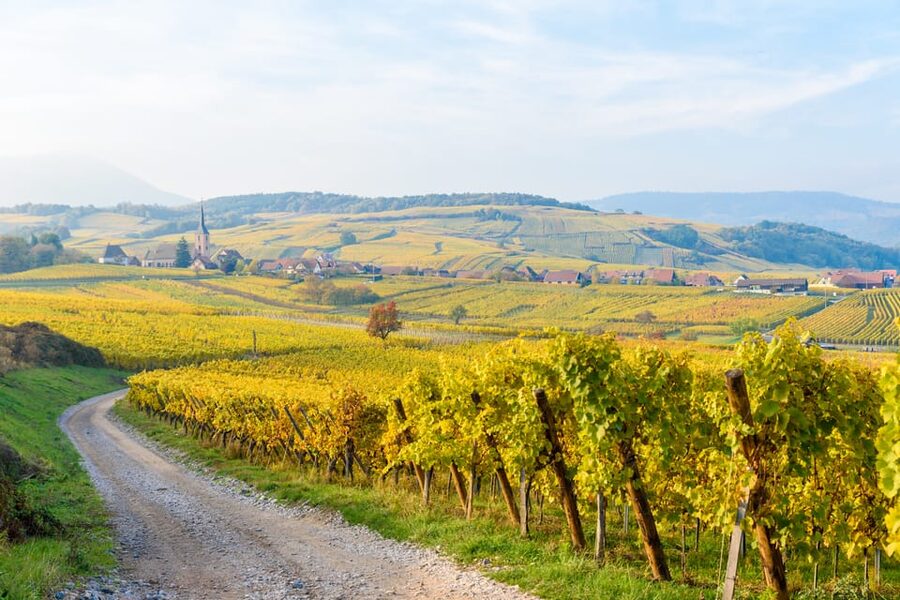 Alsace: Full-Day Wine Tour & Tastings from Strasbourg - Entering Alsace from Strasbourg, an 8-hour plan that stays organized