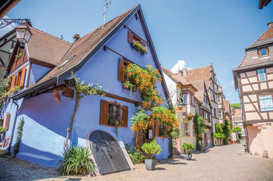 Alsace: Full-Day Wine Tour & Tastings from Strasbourg - The tasting rhythm after the villages, 2 afternoon sessions that sharpen your palate