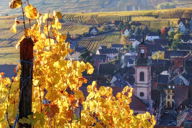 Alsace Half Day Wine Tour from Colmar - Key Points You Should Know Before You Go