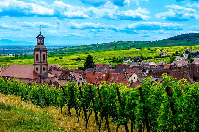 Alsace Half Day Wine Tour from Colmar - Drive the Route des Vins dAlsace and Learn the Grape Story