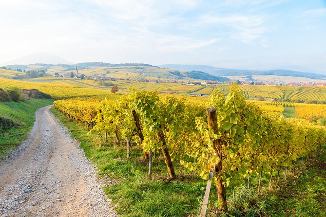 Alsace villages half day tour from Colmar - Alsace Wine Route Photo Stops: Views Without the Detour