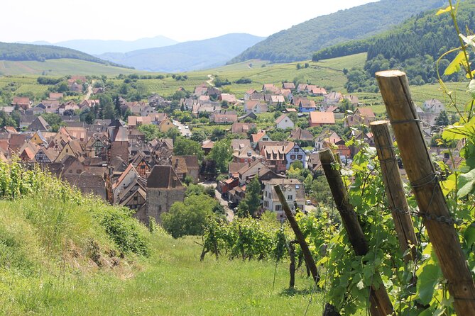 Alsace Wine Route Small Group Half-Day Tour with Tasting from Strasbourg - Alsace Wine Route in four hours: what this half-day tour really feels like
