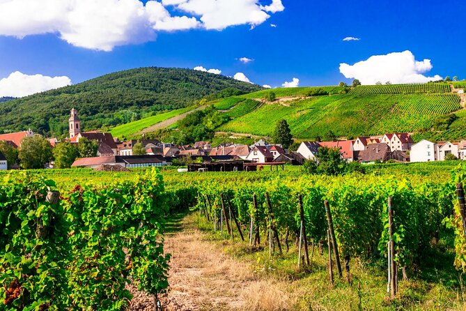 Alsace Wine Route Small Group Half-Day Tour with Tasting from Strasbourg - Guides that set the tone: energy, storytelling, and real talk