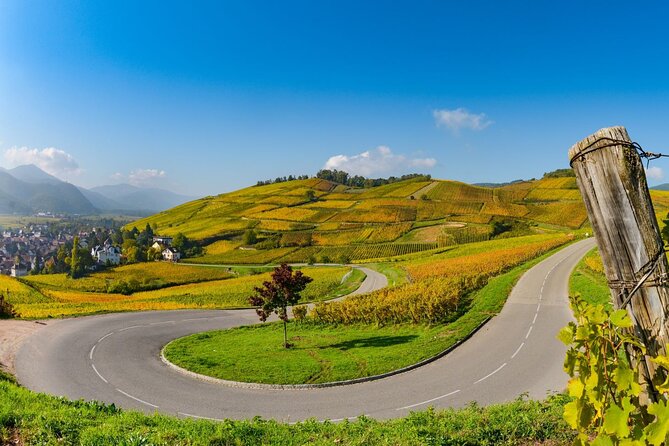 Alsace Wine Route Small Group Half-Day Tour with Tasting from Strasbourg - What you will taste: Riesling, Gewürztraminer, and the rest of the Alsace set