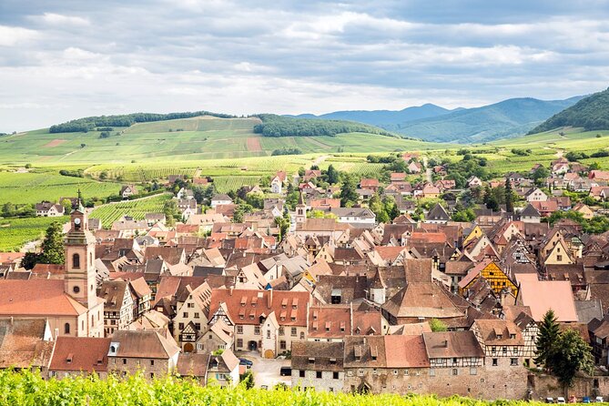 Alsace Wine Route Small Group Half-Day Tour with Tasting from Strasbourg - No snacks during tastings: the practical detail that can make or break it