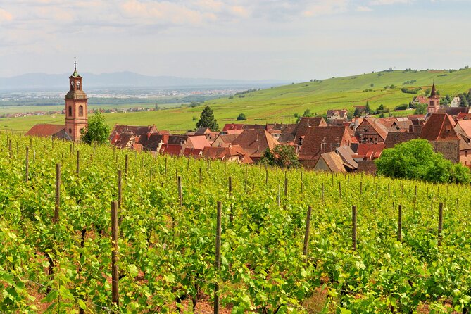 Alsace Wine Route Small Group Half-Day Tour with Tasting from Strasbourg - Price and value at $157.28: what you get for the money