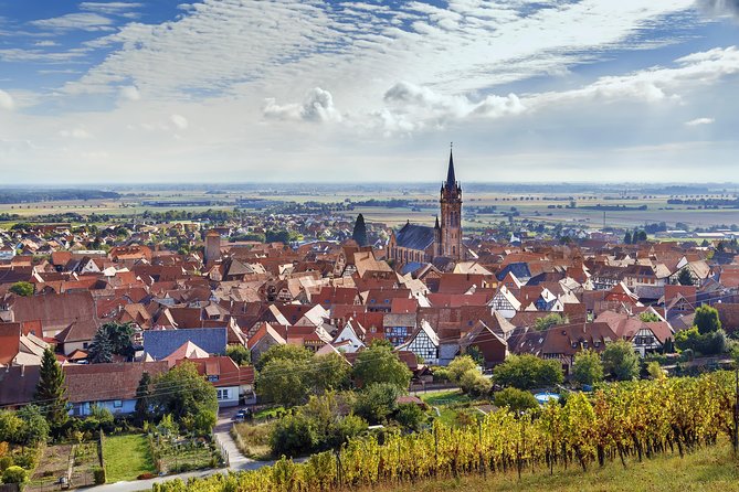 Alsace Wine Route Wineries & Tasting Small Group Guided Tour from Strasbourg - Dambach-la-Ville caveau stop and the Frankstein Grand Cru focus