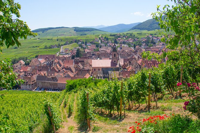 Alsace Wine Route Wineries & Tasting Small Group Guided Tour from Strasbourg - How far you will go, and why this day feels manageable