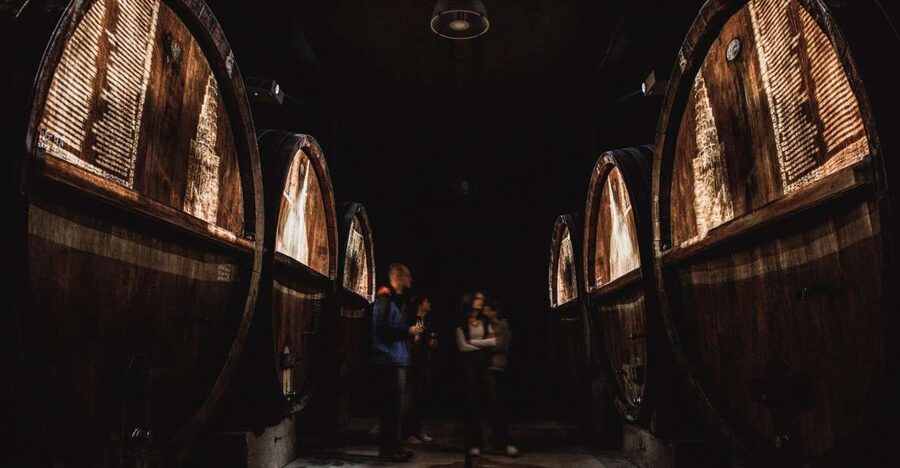 Alsatian Guided Wine Tasting and Immersive wine cellar tour - Key things that make this wine cellar tour worth your time