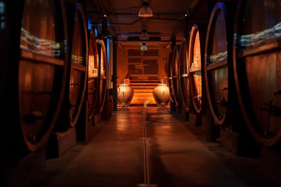 Alsatian Guided Wine Tasting and Immersive wine cellar tour - Price and value: is $22 a fair deal?