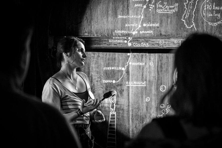 Alsatian Guided Wine Tasting and Immersive wine cellar tour - Pairing lessons that go beyond generic advice