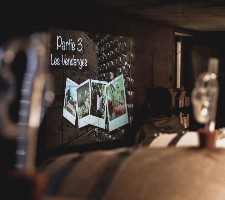 Alsatian Guided Wine Tasting and Immersive wine cellar tour - English or French, and why the language choice matters