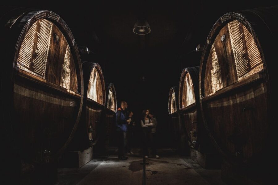 Alsatian Guided Wine Tasting and Immersive wine cellar tour - The 180° barrel video show in the cellar