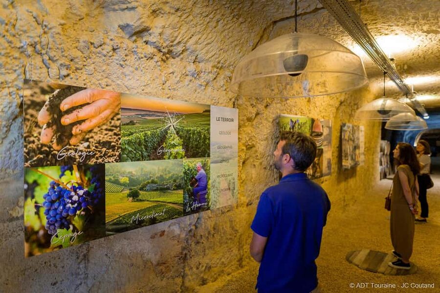 Amboise: Caves Ambacia Visit and Wine Tasting - Should You Book Caves Ambacia in Amboise?