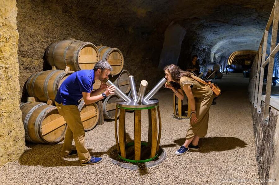 Amboise: Caves Ambacia Visit and Wine Tasting - Price and Value: Is 37 USD Worth It?