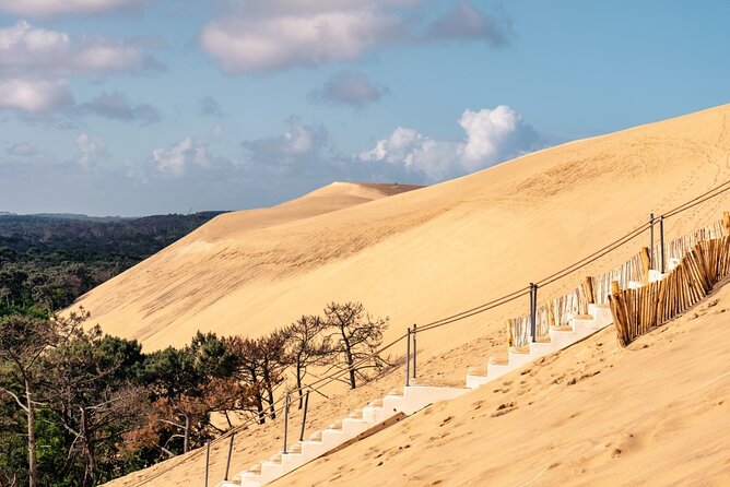 Arcachon Bay Full Day Trip from Bordeaux with lunch and Pyla Dune - How the small-group format changes the whole day