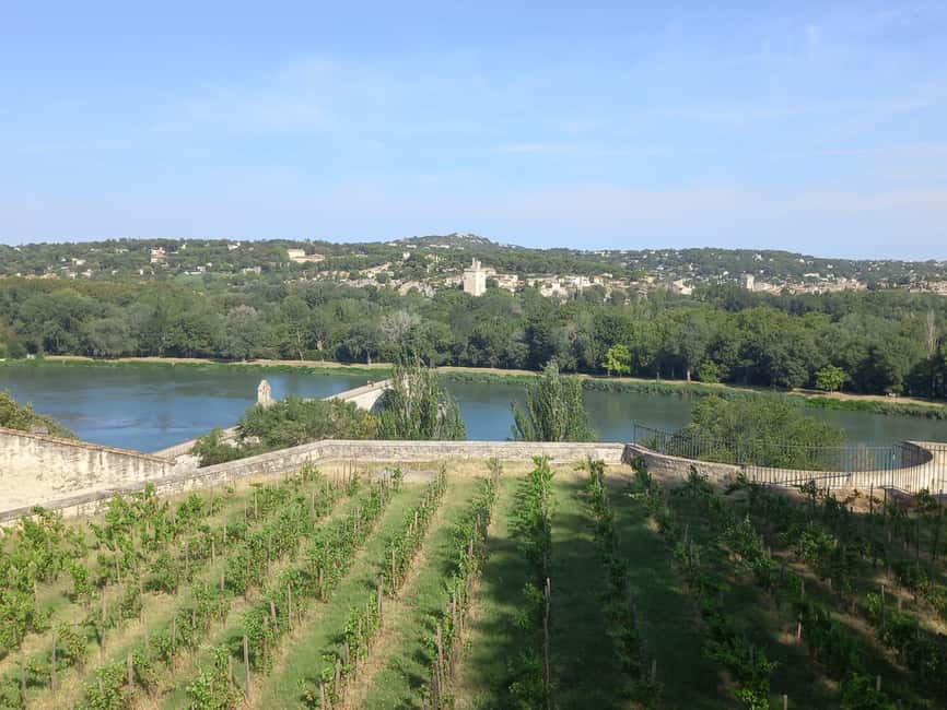 Avignon: City Walking Tour with Popes Palace Entry - Skipping the Ticket Line: Why This Matters in High-Draw Avignon