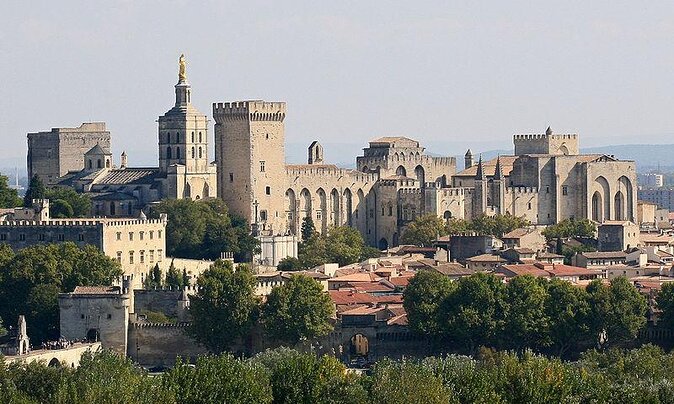 Avignon Walking Tour including Pope's Palace - Key Points You Will Care About
