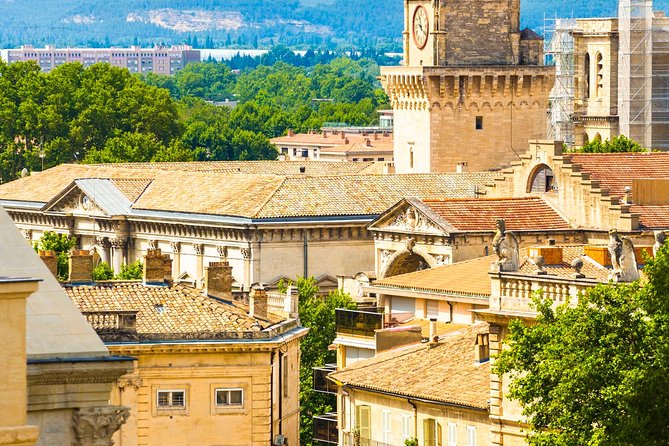 Avignon Walking Tour including Pope's Palace - Price and Value: $83.27 That Adds Up Where It Matters