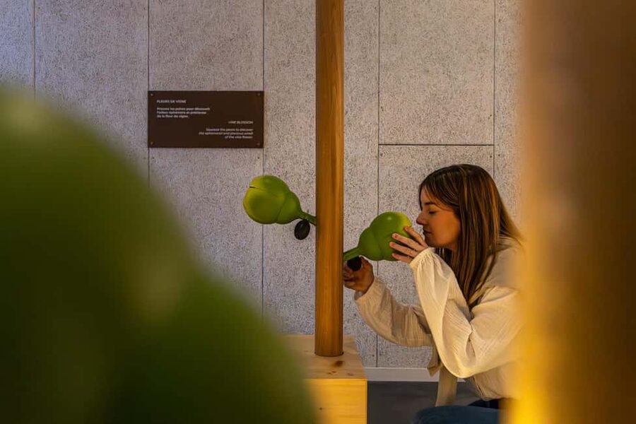 Aÿ-Champagne: Pressoria Champagne Museum with Tasting - Pressoria Champagne Museum, Aÿ-Champagne value check before you go