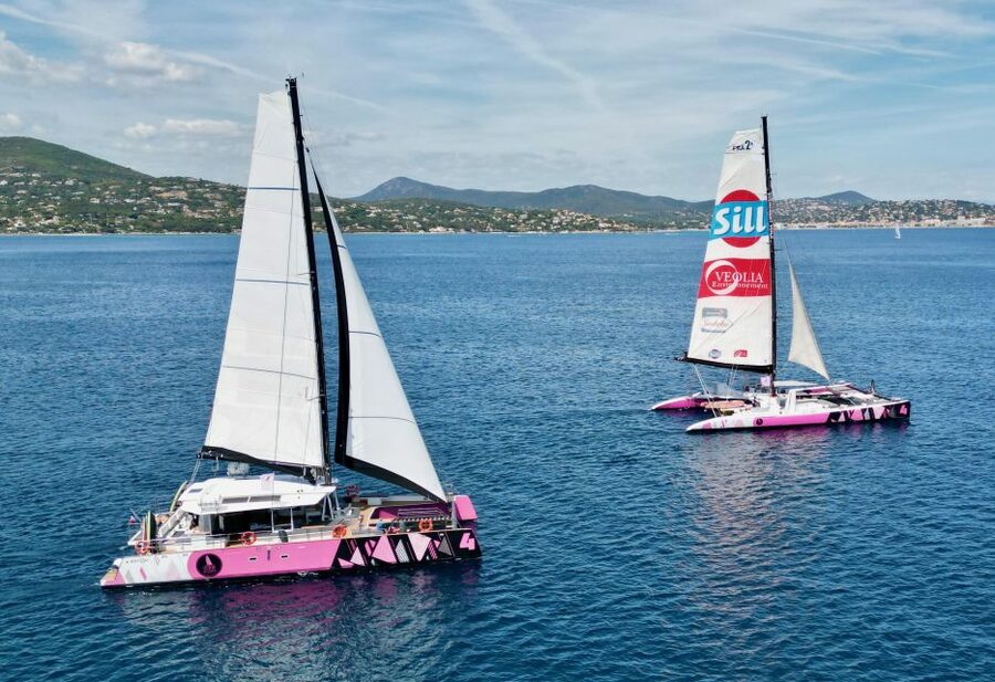 Baden: Gulf of Morbihan Exploration by Catamaran - Price and value: what $70 buys in real terms