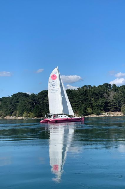 Bay of Quiberon or Morbihan gulf: Evening 2 hours navigation - Bay of Quiberon and the Teignouse lighthouse: what to look for during the sail