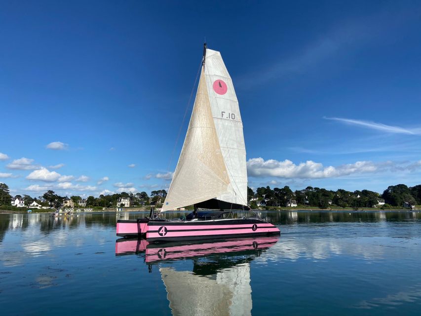 Bay of Quiberon or Morbihan gulf: Evening 2 hours navigation - Gulf of Morbihan and the 1001 islands idea: how to enjoy the “island maze”