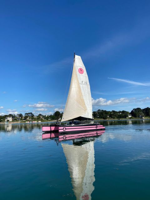 Bay of Quiberon or Morbihan gulf: Evening 2 hours navigation - Aperitif on board: snacks, timing, and how to eat like a local