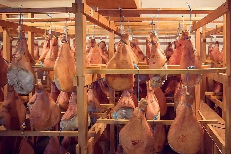 Bayonne: Guided Tour of the Ham Workshop, Tasting - A fast stop for serious ham craft