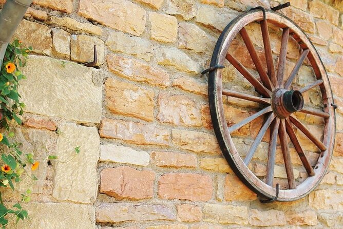 Beaujolais wine tour from Lyon half day - Tastings and the 3 cl dose: how to pace your afternoon