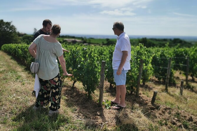Beaujolais wine tour from Lyon half day - What you get for the price, and why it can still feel like good value